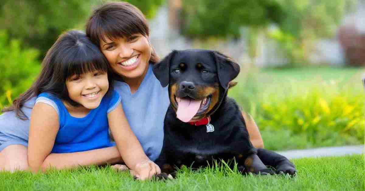 12-Week-Old Rottweiler